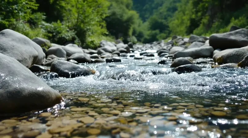 《山涧清音》剧照封面 - 磁力熊